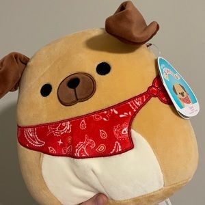 Daryl new squishmallow